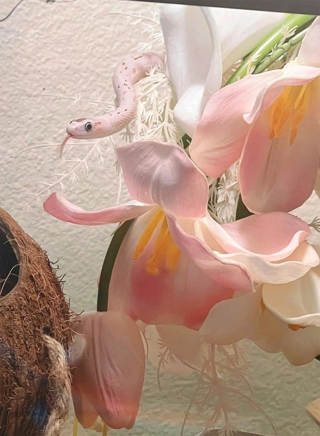 Delllala Reptile Hiding Branch&Ball Python - Enrichment Toys for Corn Snake,Tulip Artificial Bouquet Plant Artificial Decor for Snake Cage,Wood House for Leopard Gecko Habitat Lizard Chameleon Ball Pythons - Image 5